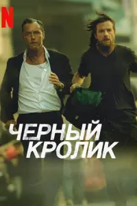 Чёрный кролик